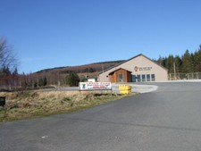 Photo 6x4 The Soft Bear