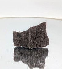 Fossil Wood Quartz Crystal