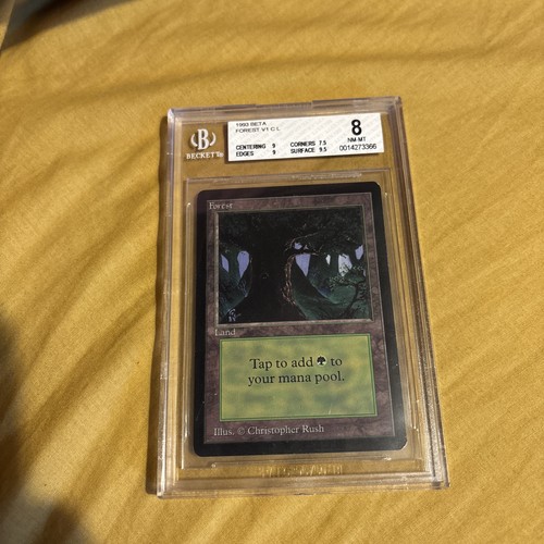 Forest bgs beckett - bgs, 8