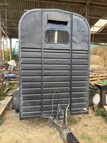 Rice horse box trailer - horse,