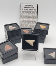 1 One Random Neolithic