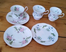 Queens Rosina Bone China