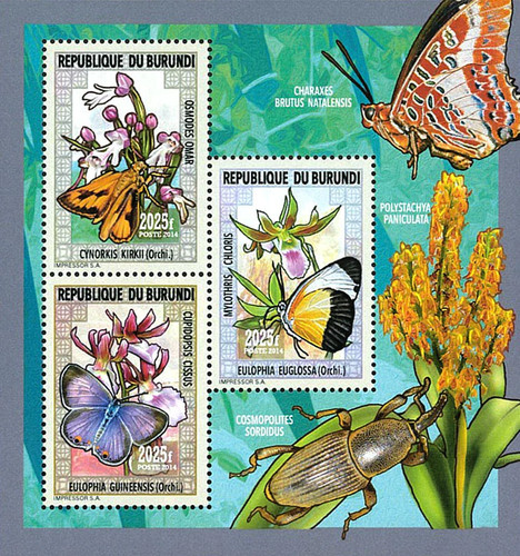 Burundi 2014 perf - perf, &