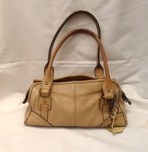 Fossil medium large - fossil,