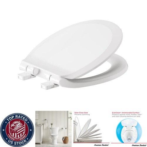 Elegant transitional round - transitional,