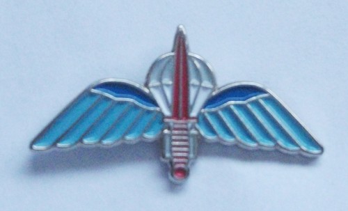 Paracommando lapel pin - paracommando, or