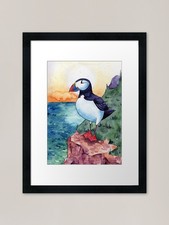 Atlantic puffin framed art - framed,