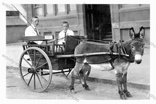TF0549 - Donkey Cart/Carriage