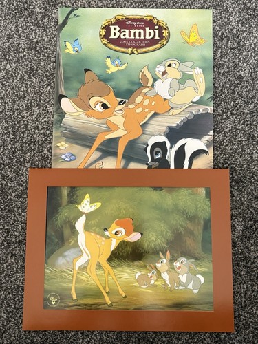 Disney store limited edition - disney,