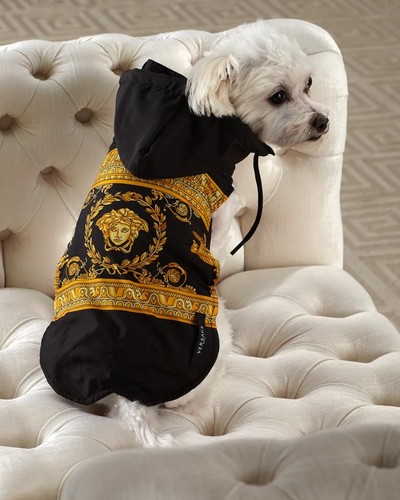 Versace barocco medusa dog - barocco,