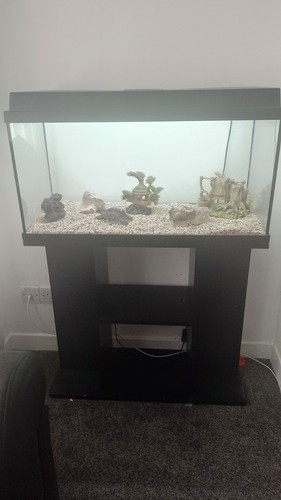 Jewel 120ltr fish tank and - fish,
