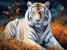 White Tiger at Rest, 5D