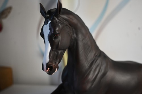 Custom breyer valegro - valegro, painted