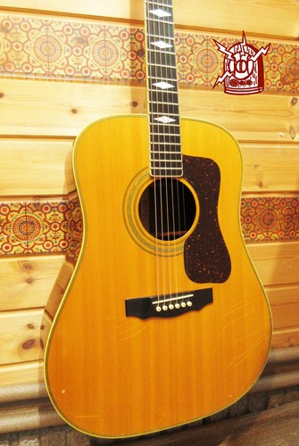 Guild d66 used acoustic - guild, nt