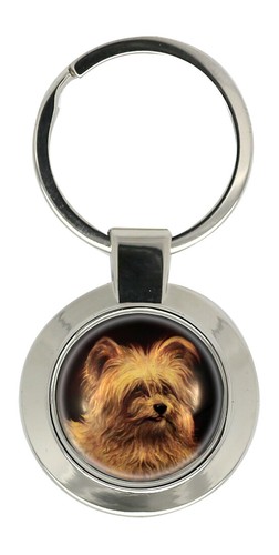 Skye terrier key - skye,