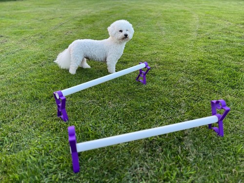 Set dog agility - 2,