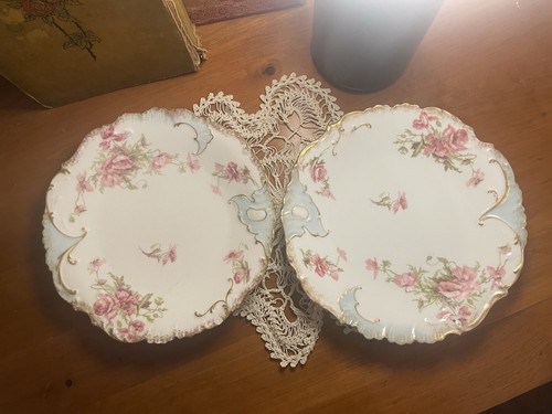 Limoges plates set in - 2,
