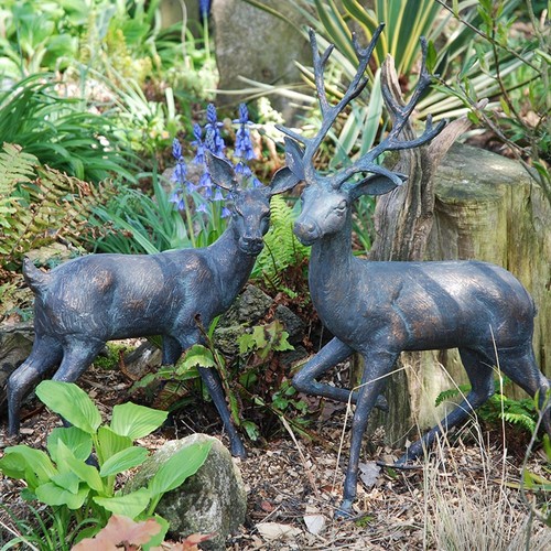 Stag doe pair garden - stag,