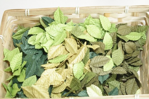 50x green mix - 50x, mulberry