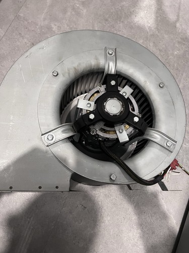 Johnson starley sifan fan - johnson,