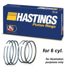 Hastings Piston Rings x6 for