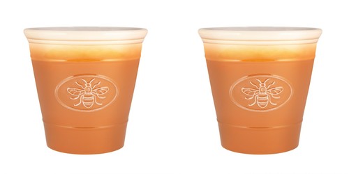 Bee design plant pots saucers - plant,