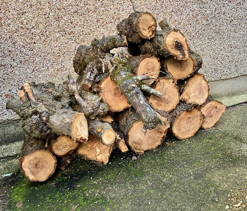 55kg unseasoned hardwood and