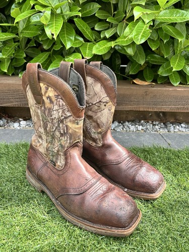 Irish setter 83924 - setter,