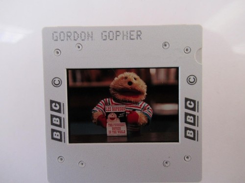 Gordon gopher 35mm - ,