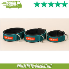 EzyDog Neo Classic Collar -