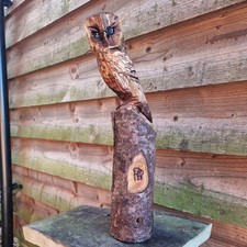 Chainsaw Carved  Owl 
