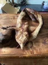 Vintage Real Mink Stole inc Head/ legs/ tail 46” Long 4” Wide