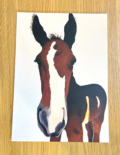 Bay foal original - bay, ‘little