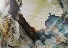 Original Monotype, 'Abstract
