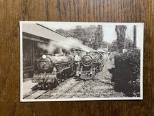 Green Goddess & 'Winston