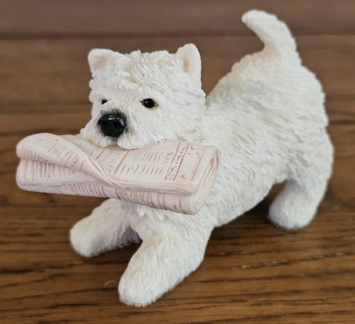West highland terrier - terrier, 'westie'
