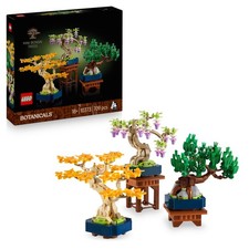 Botanicals Mini Bonsai Trees