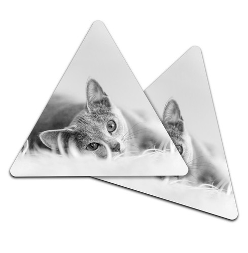 Triangle coaster bw - coaster,