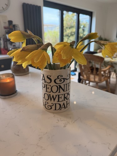 Emma bridgewater toast - bridgewater, &