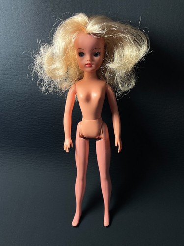 Pedigree sindy ash blonde - pedigree,