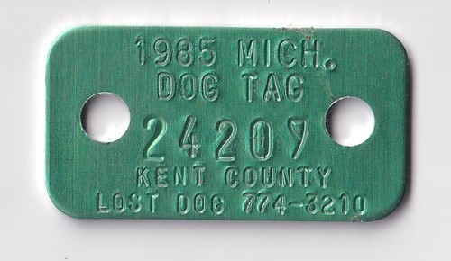 1985 kent county michigan - 1985,
