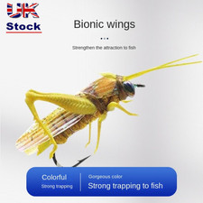Fishing Tackle Insect fishing