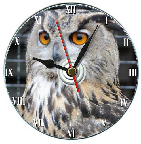 Owl gift clock - owl, desk