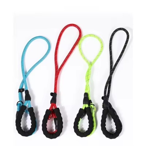 Dog training lead - dog, rope
