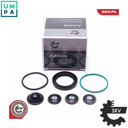Repair kit fuel - kit, pump