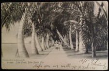 Palm Beach  Florida Postcard