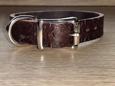 Brown dog collar celtic - collar, real