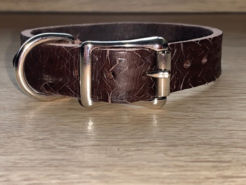 Brown dog collar - brown, real
