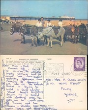 Donkeys at Skegness beach J Arthur Dixon 1962 postmark Animals Tourism