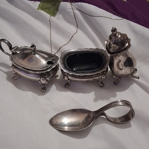 Epns silver plate condiment - silver,